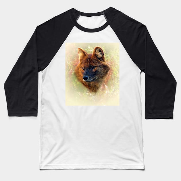 Asian wild dog Baseball T-Shirt by Guardi